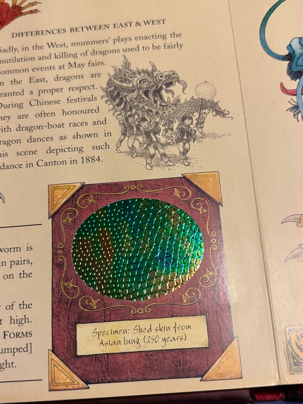 Dragonology The Complete Book of Dragons - Picture 8 of 9